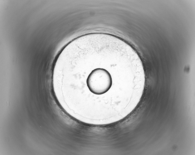 X0000093571514200710291029