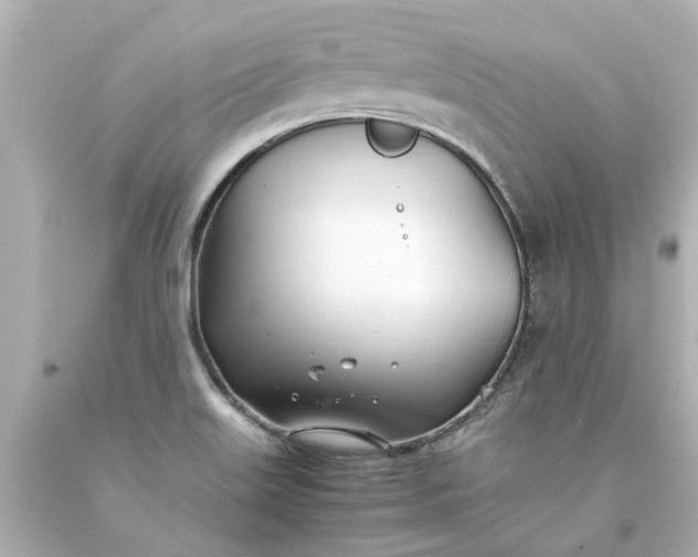 X0000093571515200710291029