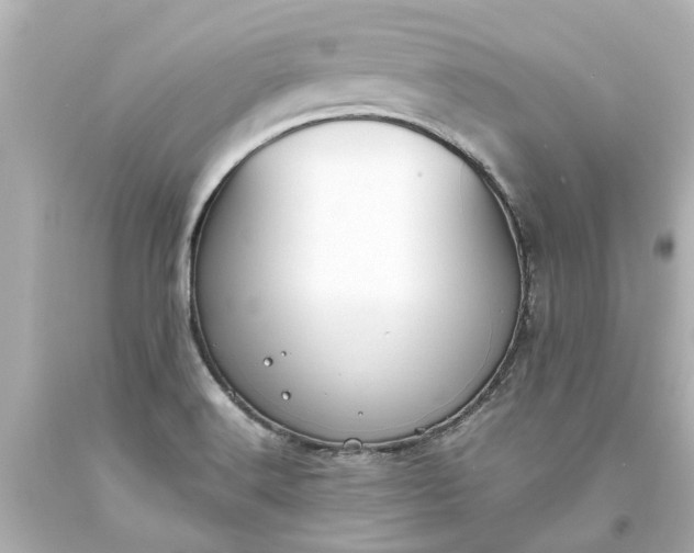 X0000093571516200710291029
