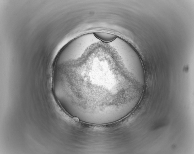 X0000093571522200710291029