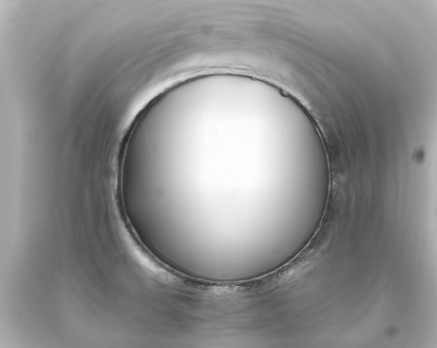 X0000093571523200710291029