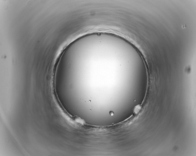 X0000093571525200710291029