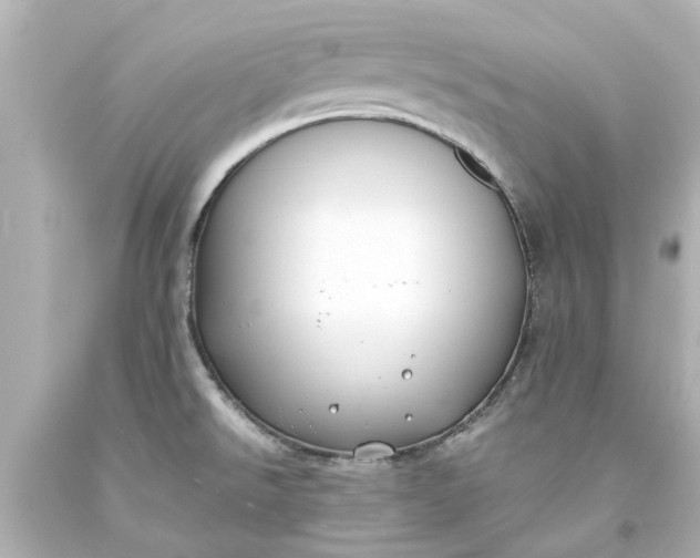 X0000093571526200710291029