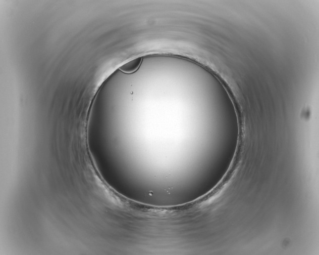 X0000093571529200710291029