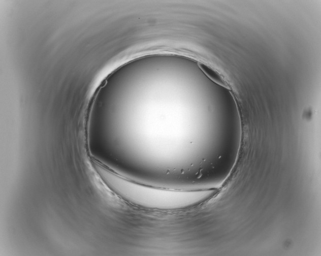 X0000093571530200710291029