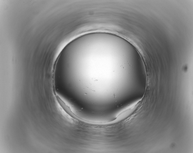 X0000093571532200710291029