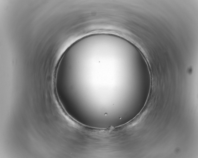 X0000093571533200710291029