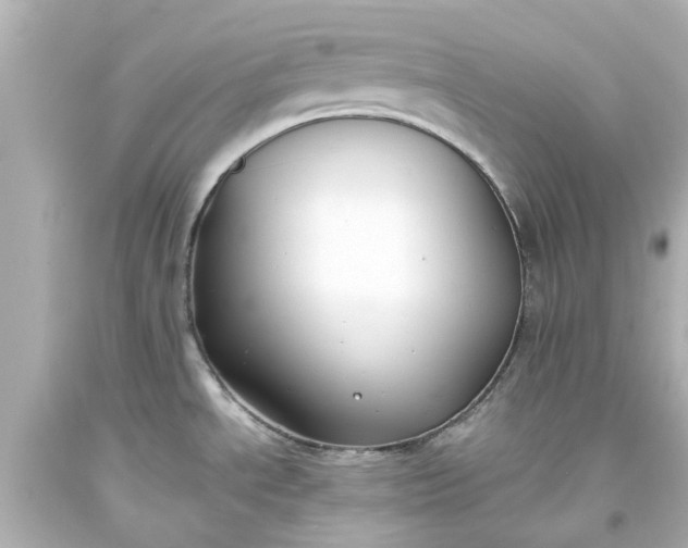 X0000093571534200710291029