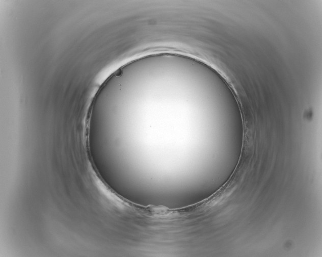 X0000093571535200710291029