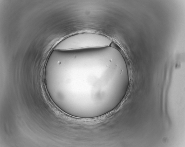 X0000093570001200711051107