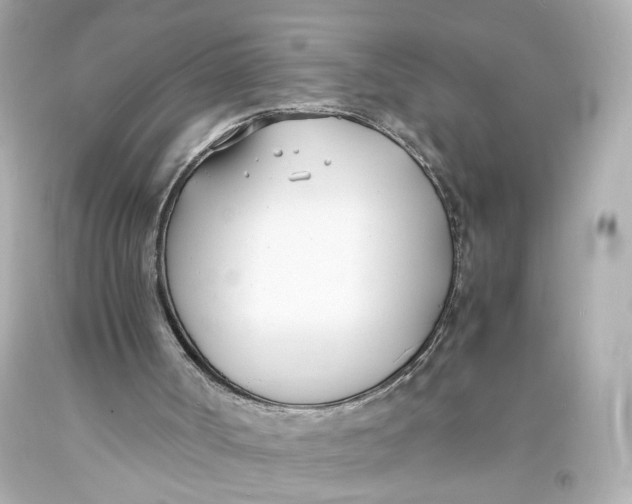 X0000093570002200711051107