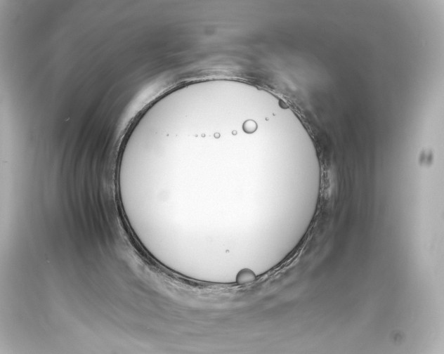 X0000093570004200711051107