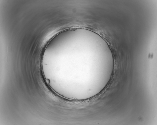 X0000093570005200711051107