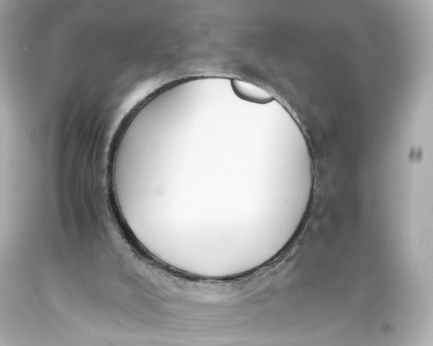 X0000093570008200711051107