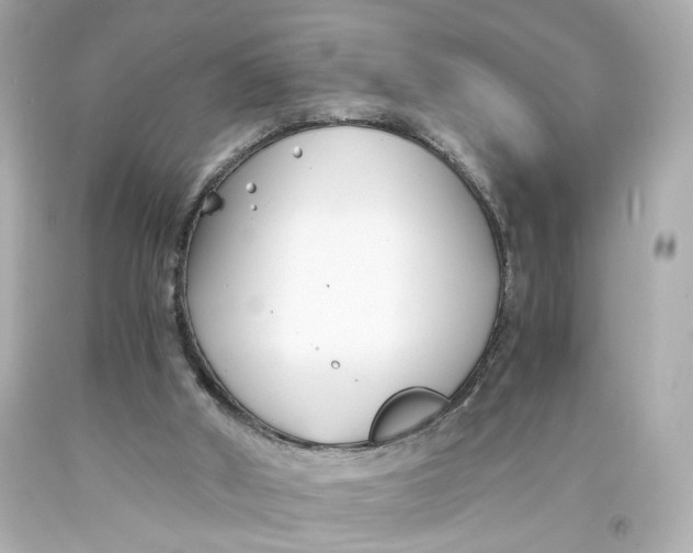 X0000093570010200711051107