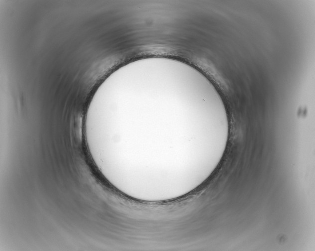 X0000093570014200711051107