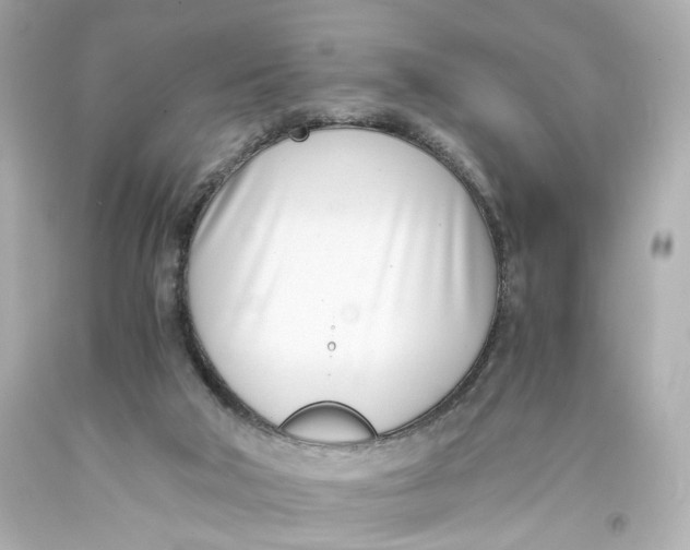 X0000093570018200711051107