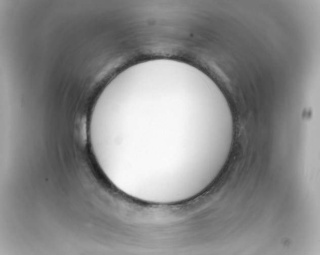 X0000093570020200711051107