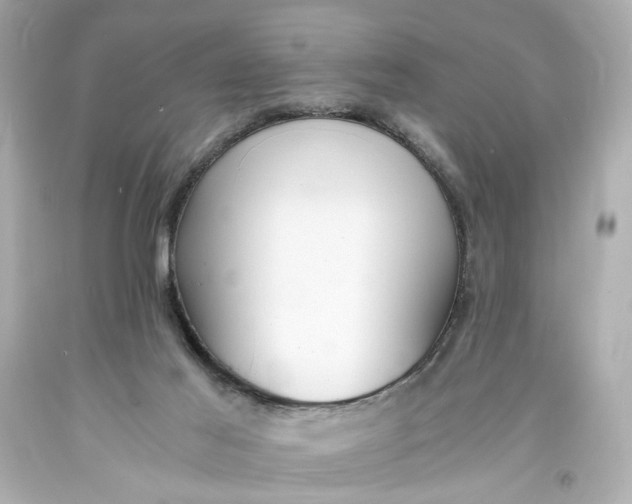 X0000093570021200711051107