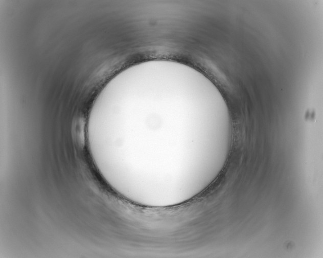 X0000093570022200711051107