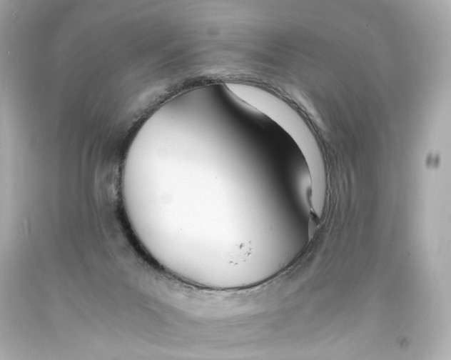 X0000093570023200711051107