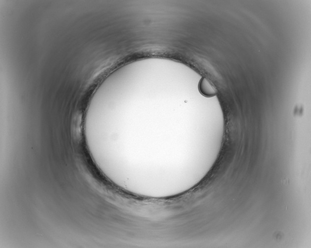 X0000093570024200711051107