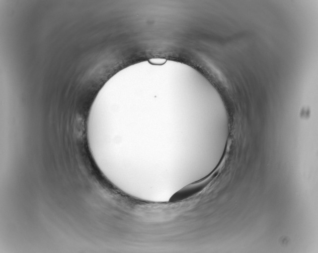 X0000093570025200711051107