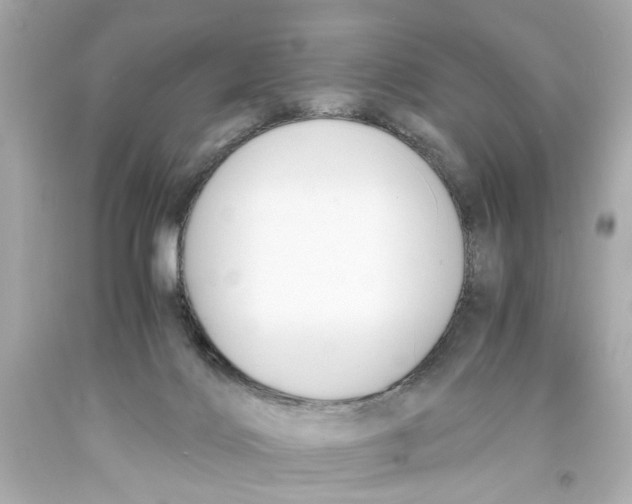 X0000093570028200711051107