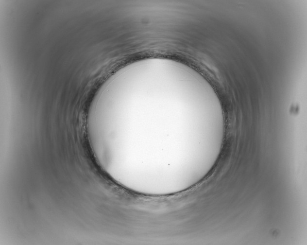 X0000093570029200711051107