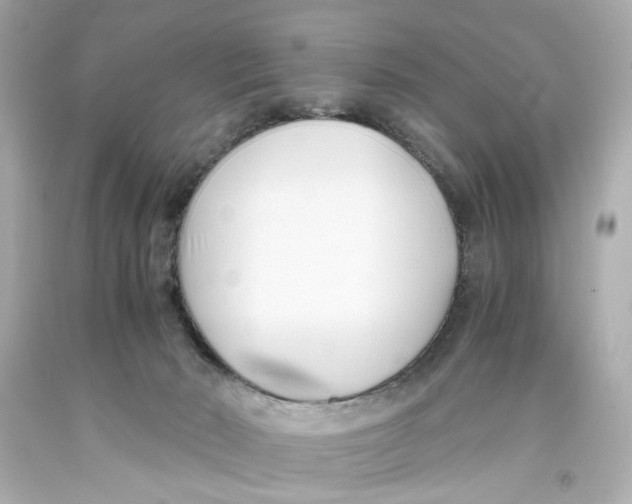 X0000093570030200711051107