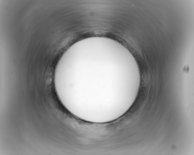 X0000093570032200711051107