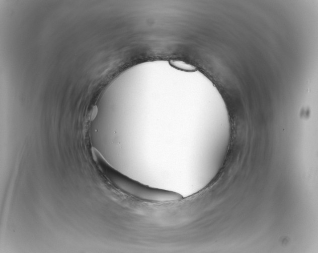 X0000093570033200711051107