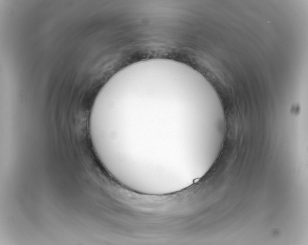 X0000093570034200711051107