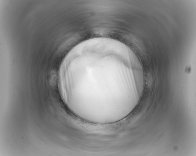 X0000093570036200711051107