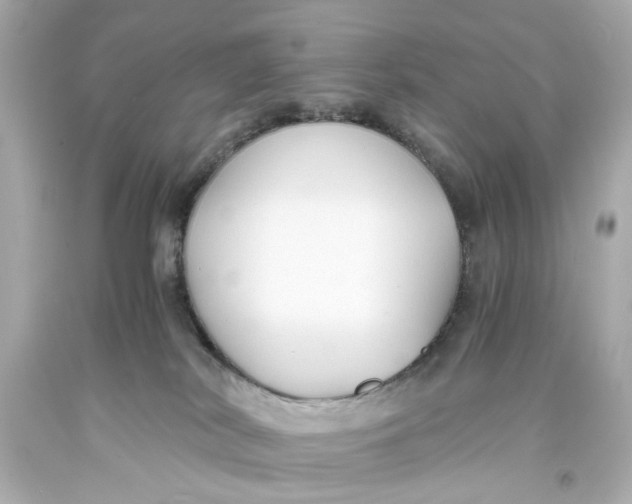 X0000093570038200711051107