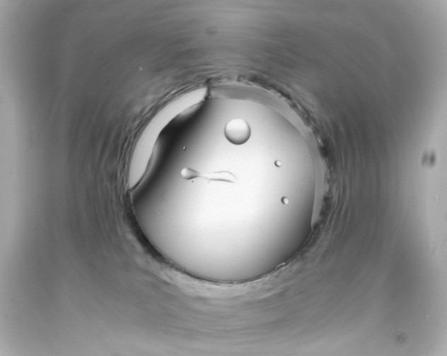 X0000093570039200711051107