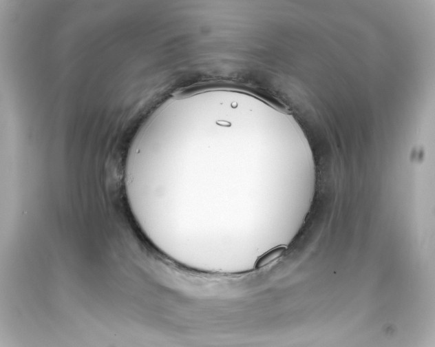 X0000093570040200711051106