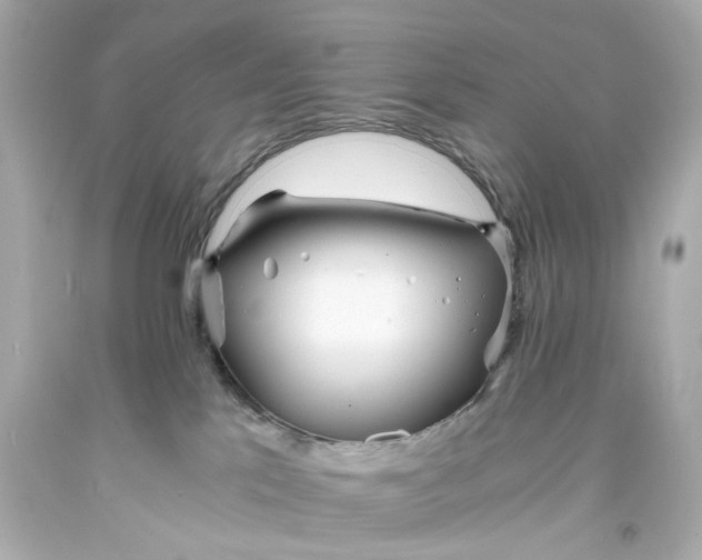 X0000093570041200711051106