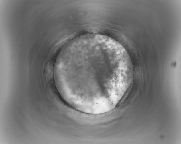 X0000093570043200711051106