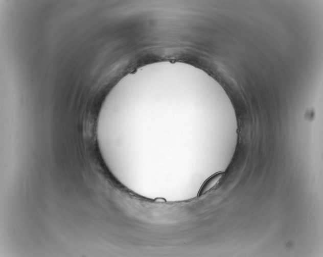 X0000093570044200711051106