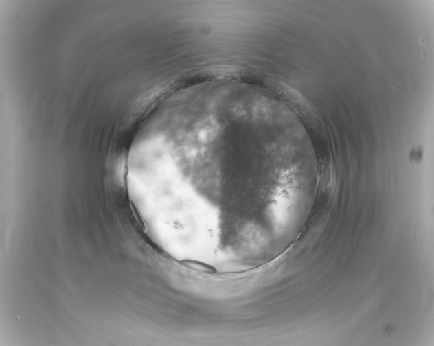 X0000093570047200711051106