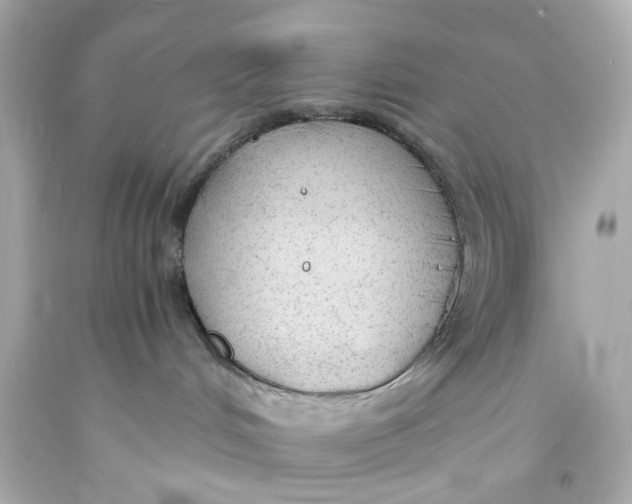 X0000093570048200711051106