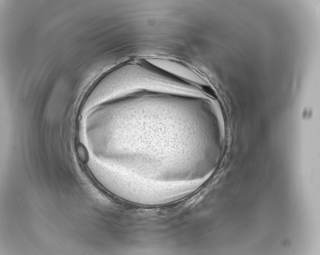 X0000093570049200711051106