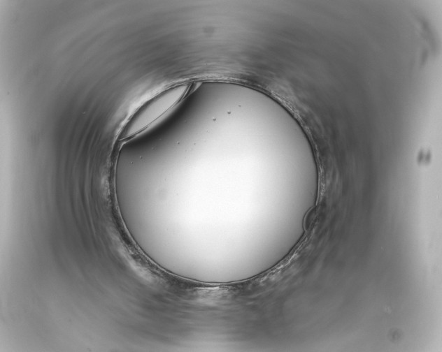 X0000093570050200711051106