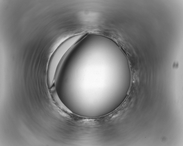 X0000093570052200711051106