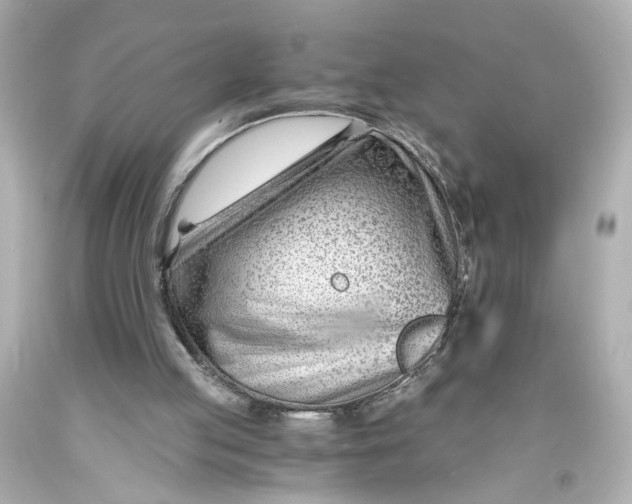 X0000093570053200711051106