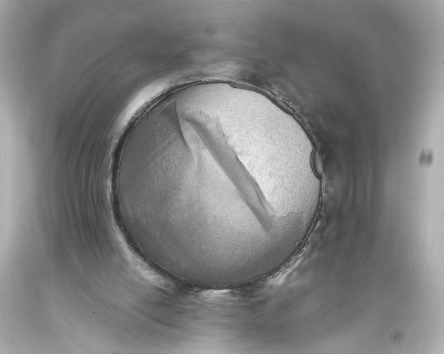 X0000093570054200711051106