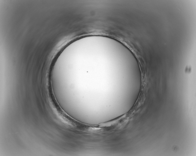 X0000093570055200711051106