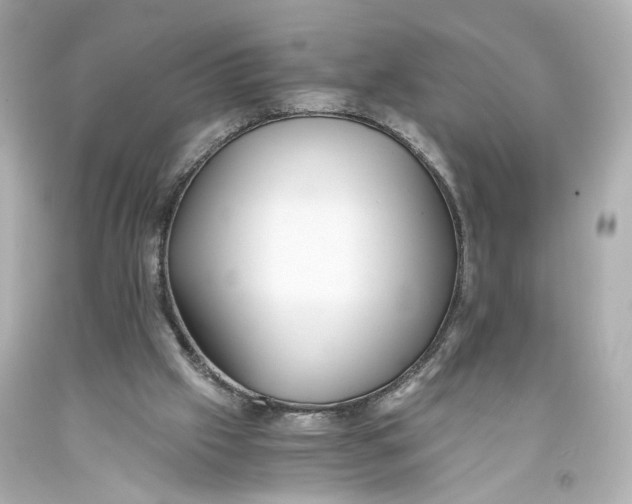 X0000093570057200711051106