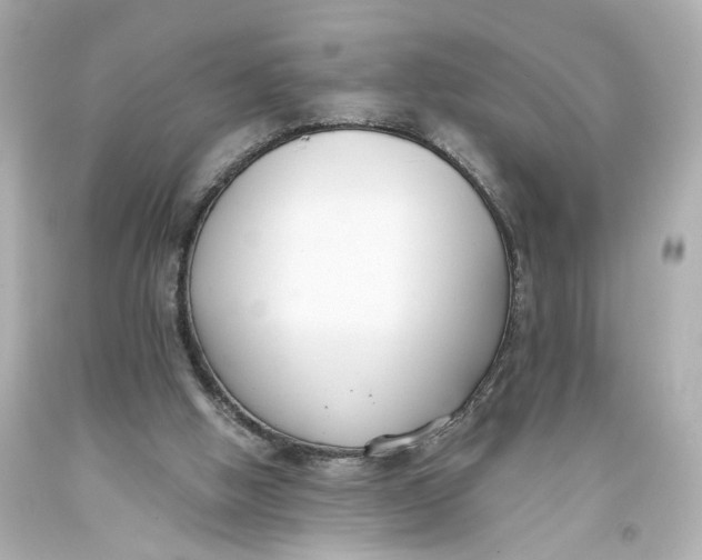 X0000093570058200711051106